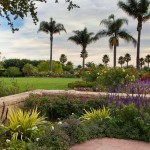 Large Santa Barbara Estate Landscaping