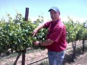Buying a California Vineyard